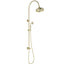 Clasico Combination Shower Set - Brushed Gold