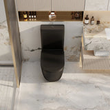 Norton Rimless Back To Wall Toilet Suite (Matte Black)