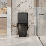 Norton Rimless Back To Wall Toilet Suite (Matte Black)
