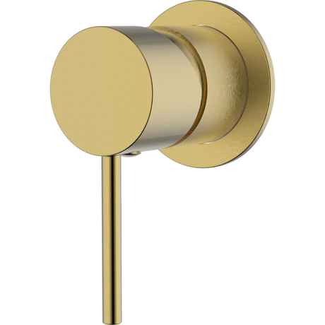 Hali Wall Mixer 60mm Cover Plate Brushed Gold