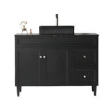 Harrington Floor PVC Cabinet Vanity 1200mm (Matte Black) (Single Bowl)
