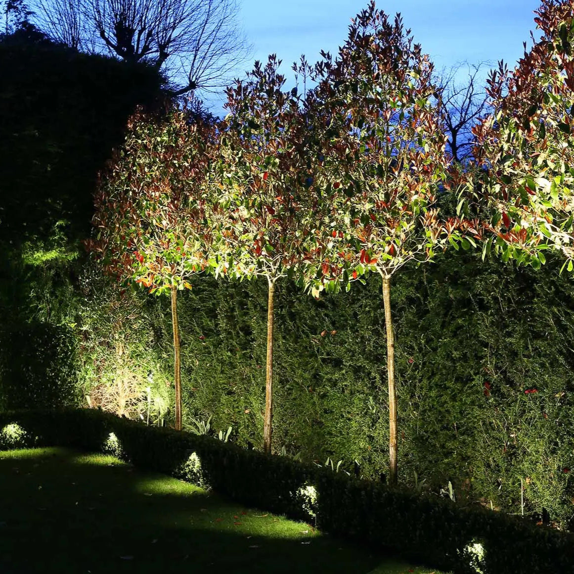 KAM: Exterior Dark Grey Garden Spike Light IP65