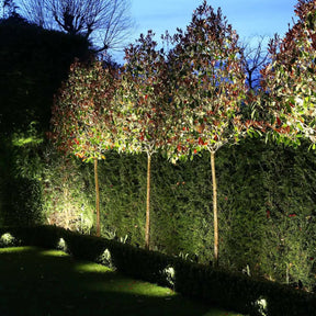 KAM: Exterior Dark Grey Garden Spike Light IP65