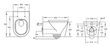 avis-rimless-wall-hung-pan