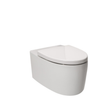 KOHLER Grande Wall Hung Toilet
