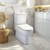 KOHLER Reach Back To Wall Toilet Suite