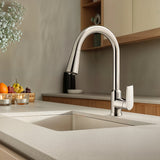KOHLER Taut Pull Out Spray Kitchen Mixer