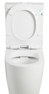 Veda Rimless Gloss White Toilet Suite