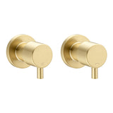 Shower Wall Tap | 7 Finishes
