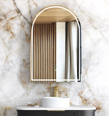 ARCHIE Font-Lit LED Black Oak Shaving Cabinet W600xH900mm