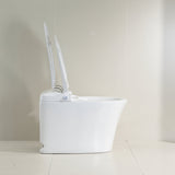 Lukka LESBOS Rimless Back To Wall Smart Toilet