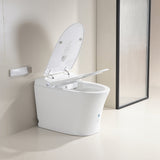 Lukka LESBOS Rimless Back To Wall Smart Toilet