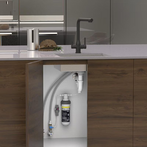 Kitchen Taps with Filter Kits