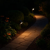 MR16 Single Adjustable Head Garden Spike Lights IP65