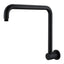 Mica Goose Neck Shower Arm