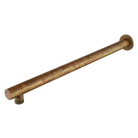 Mica Straight Wall Shower Arm - 450mm
