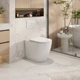 Raul99 Rimless Wall Faced Floor Toilet Pan (Gloss White)