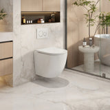 Norton66 Wall Hung Toilet Pan (Gloss White)