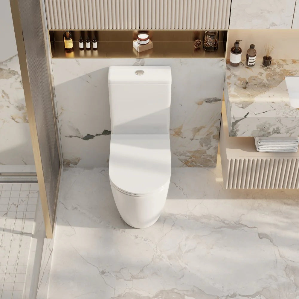 Norton Rimless Back To Wall Toilet Suite (Gloss White)