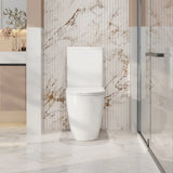 Hani Rimless Back To Wall Toilet Suite
