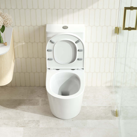 OXFORD Back-to-Wall Toilet Suite (Gloss White)