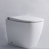 Omni Comfort Wall Face Smart Toilet