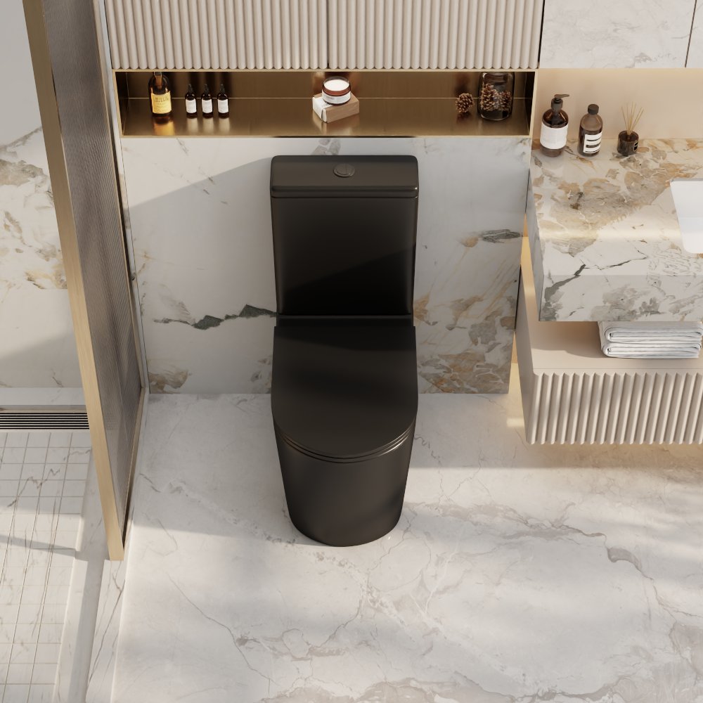 Pani Rimless Back To Wall Toilet Suite (Gloss White/ Matte Black)