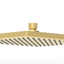 Rosa Square Overhead Shower 200mm - Brushed Gold