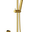 Cora Round Sliding Shower Set - Brushed Gold