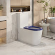 Pani Care-Accessible Back-to-Wall Toilet (Gloss White)