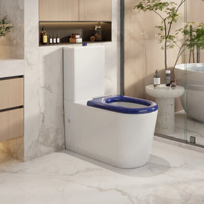 Pani Care-Accessible Back-to-Wall Toilet (Gloss White)
