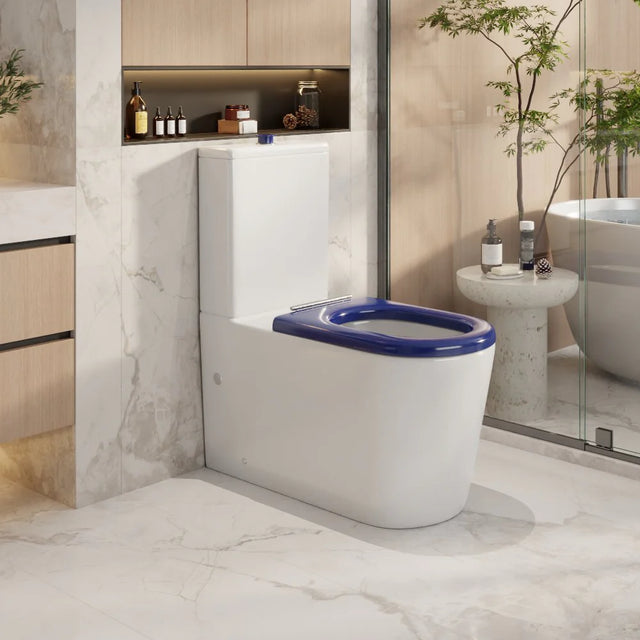 Pani Care-Accessible Back-to-Wall Toilet (Gloss White)
