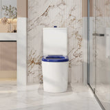 Pani Care-Accessible Back-to-Wall Toilet (Gloss White)