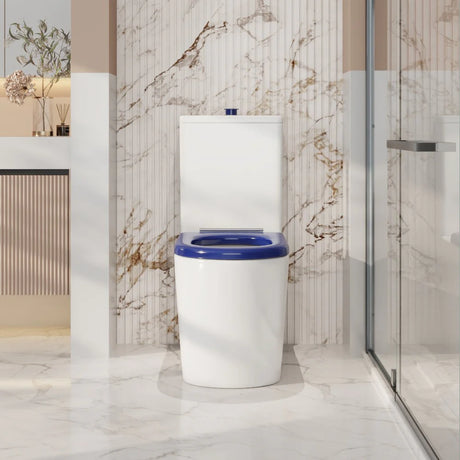 Pani Care-Accessible Back-to-Wall Toilet (Gloss White)