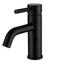 PAVIA Curved Basin Mixer - Matte Black