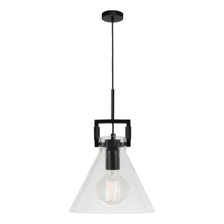 Pierre 1 Light Pendant Black