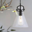 Pierre 1 Light Pendant Black