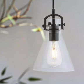 Pierre 1 Light Pendant Black