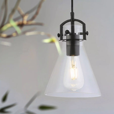 Pierre 1 Light Pendant Black