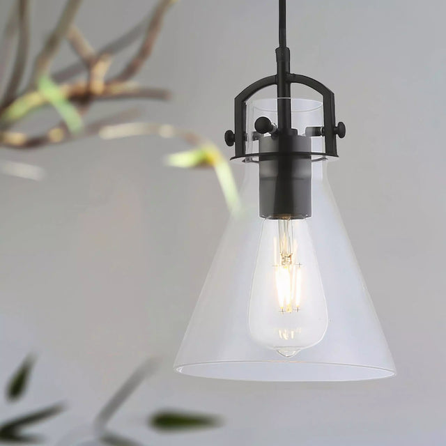 Pierre 1 Light Pendant Black