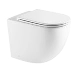 Raul99 Rimless Wall Faced Floor Toilet Pan (Matte White)