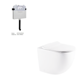 Raul99 Rimless Wall Faced Floor Toilet Pan (Matte White)