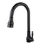 Round Vintage Pull Out Kitchen Sink Mixer Tap - Black