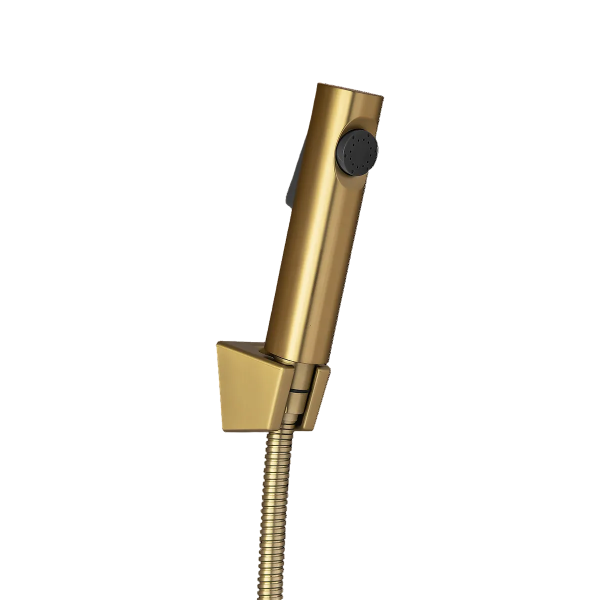 Round ABS Toilet Bidet Spray Kit With Stainless Steel Hose - Brushed Brass