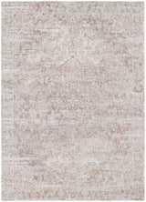 Solenne Beige & Blue Distressed Vintage Rug - S100