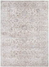 Solenne Beige & Blue Transitional Rug - S300