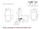 CATANIA Standard LUNA Rimless Back to Wall Smart Toilet Suite