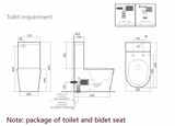 THEA Standard VEGA Rimless Back to Wall Smart Toilet Suite