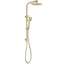 PAVIA Twin Shower On Rail Top Inlet Round (250mm) - Brushed Gold