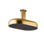 Statement Dual  Function Rainhead - Deep Massage